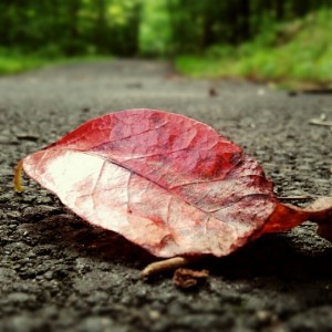 Insta-20120709-004-4